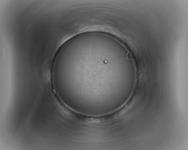 X0000115851505200911201602