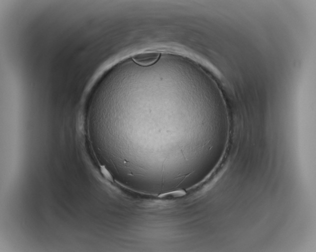 X0000115851506200911201602