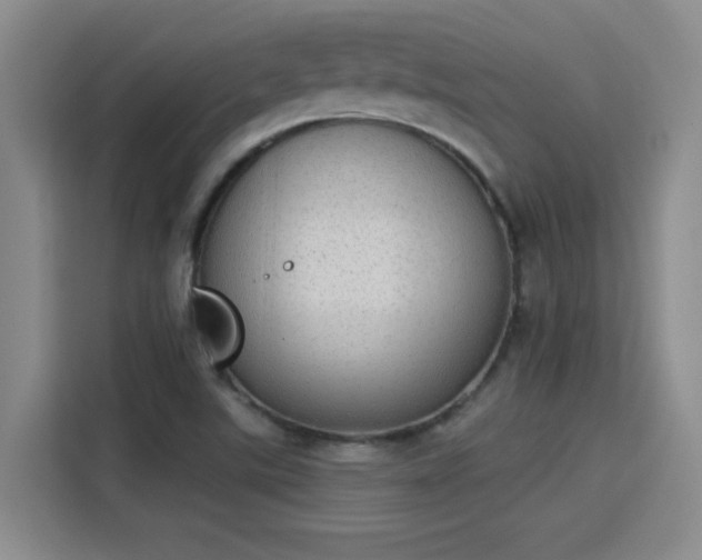 X0000115851507200911201602