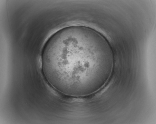 X0000115851509200911201602