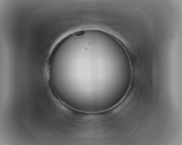 X0000115851510200911201602