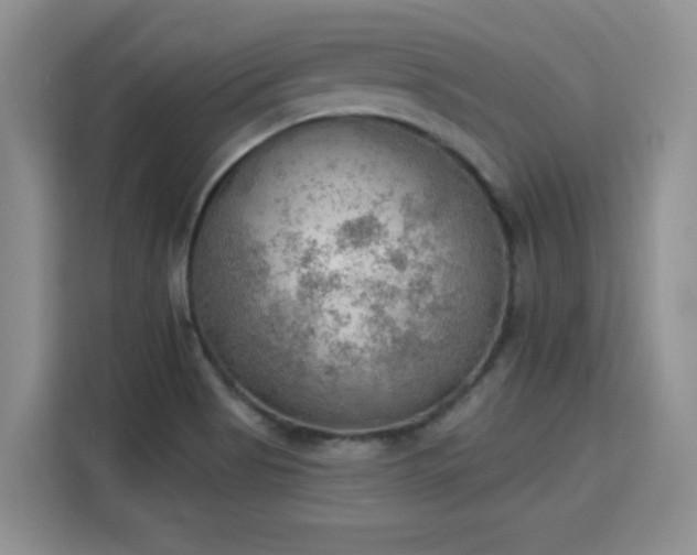 X0000115851513200911201603