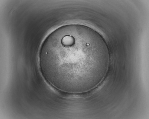 X0000115851517200911201603