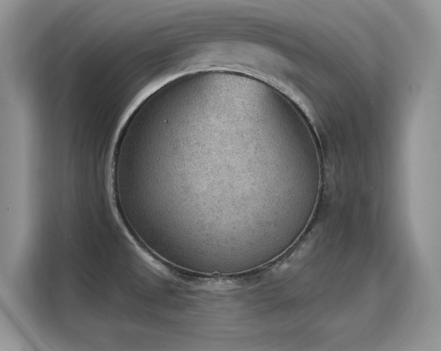 X0000115851525200911201603