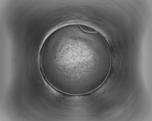 X0000115851527200911201603