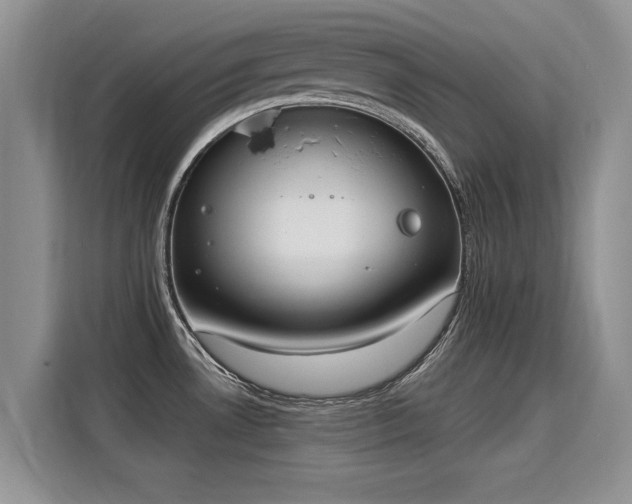 X0000115851530200911201603