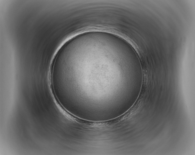 X0000115851531200911201603