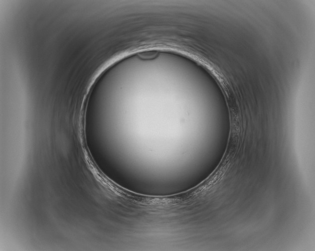X0000115851534200911201603