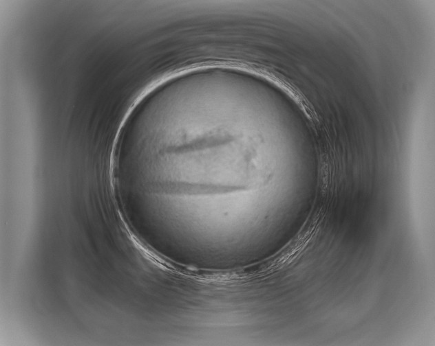 X0000115851535200911201603