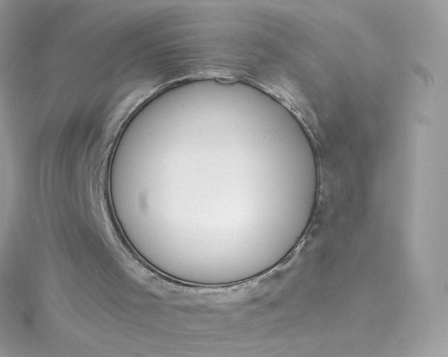 X0000115850001200911271251