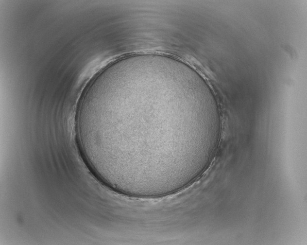 X0000115850002200911271251