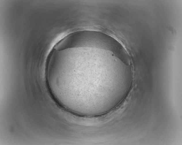 X0000115850008200911271251