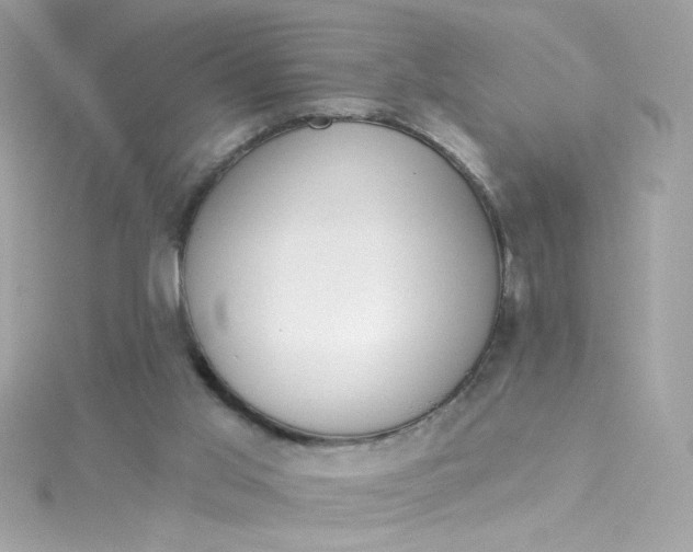 X0000115850013200911271251