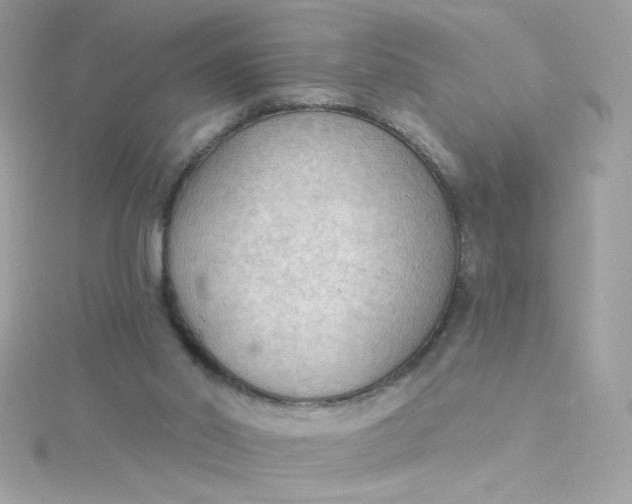 X0000115850014200911271251