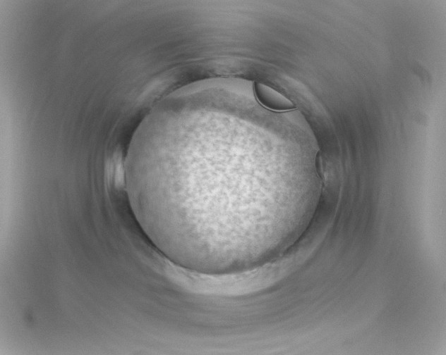 X0000115850046200911271251