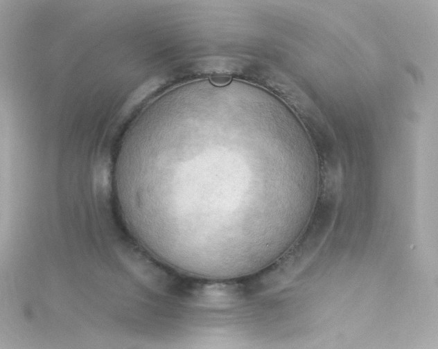 X0000115850064200911271250