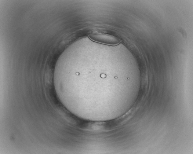 X0000115850078200911271250