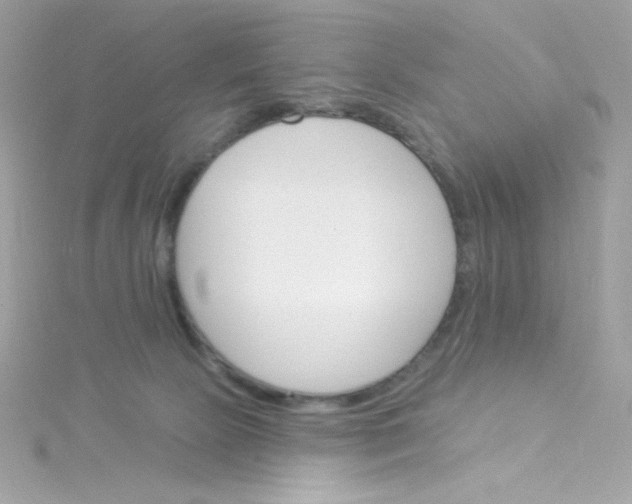 X0000115850081200911271250