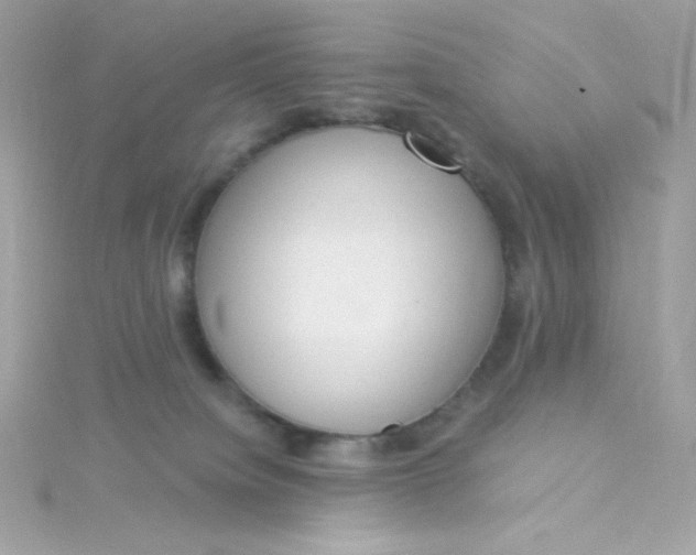 X0000115850084200911271250