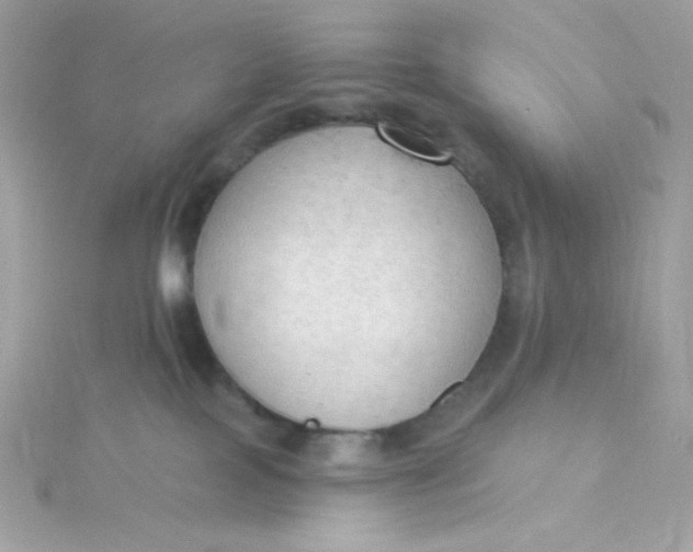 X0000115850089200911271251