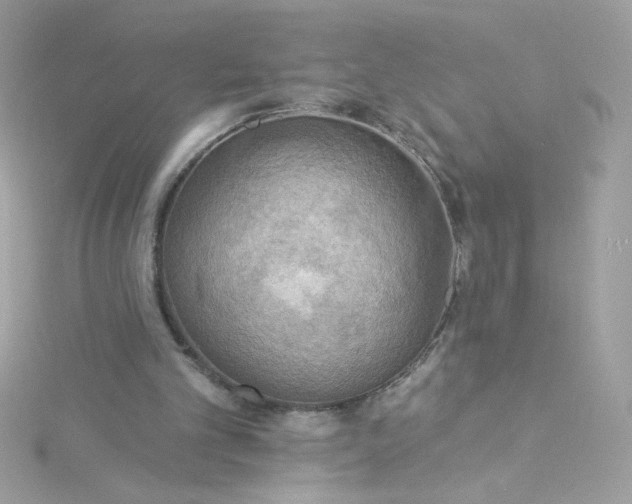 X0000115850101200911271250