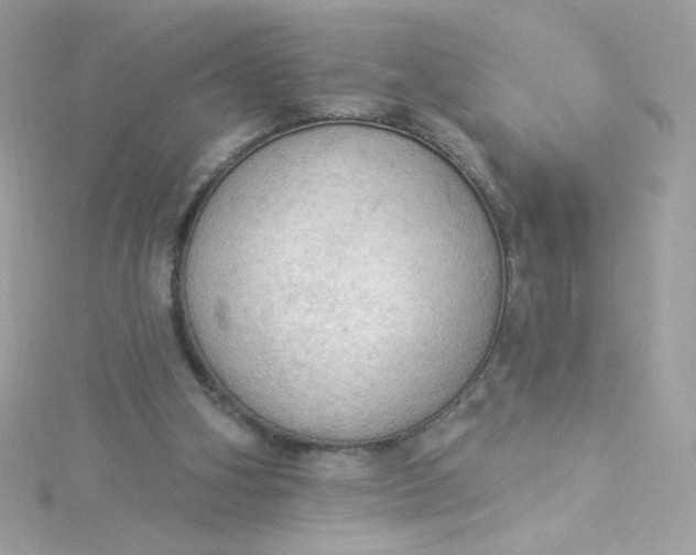 X0000115850106200911271250