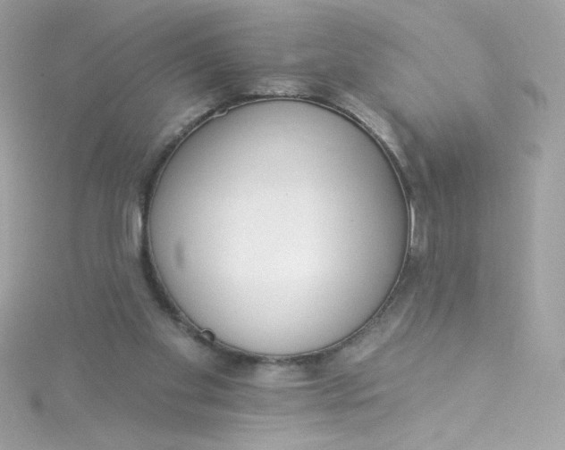 X0000115850109200911271250