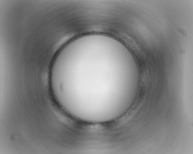 X0000115850112200911271250