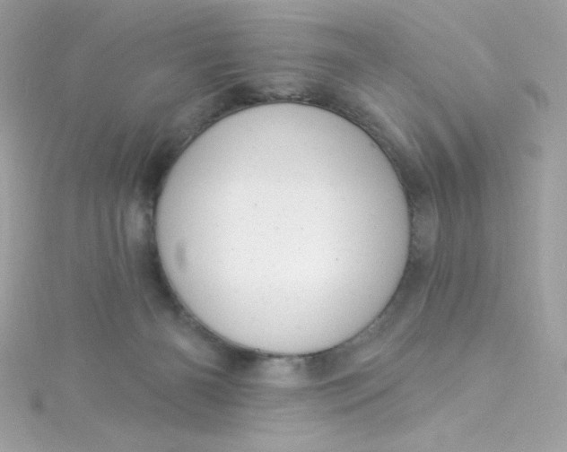 X0000115850126200911271249
