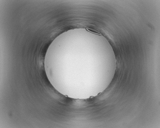 X0000115850141200911271249