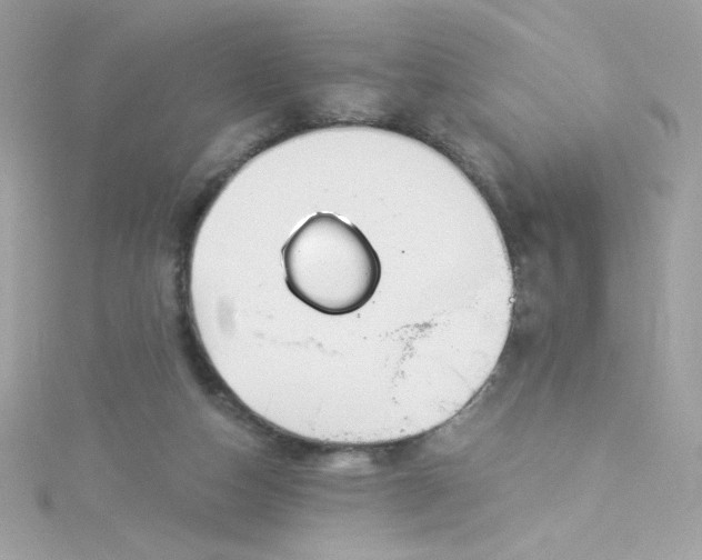 X0000115850162200911271249