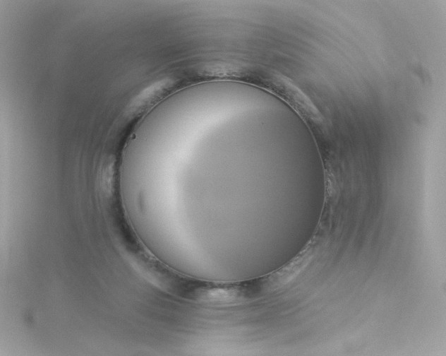 X0000115850163200911271249