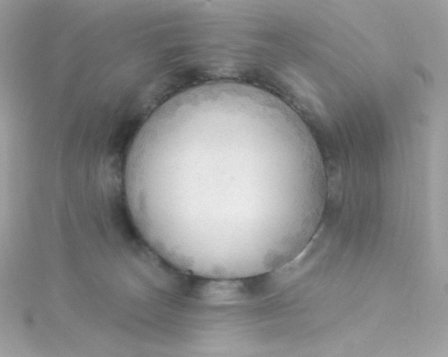 X0000115850179200911271249