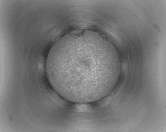 X0000115850181200911271249