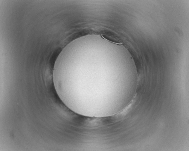 X0000115850186200911271249