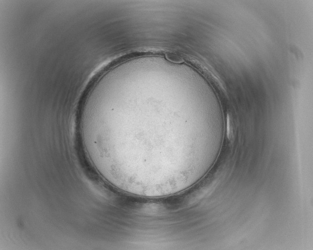 X0000115850204200911271248