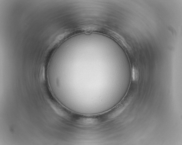 X0000115850205200911271248