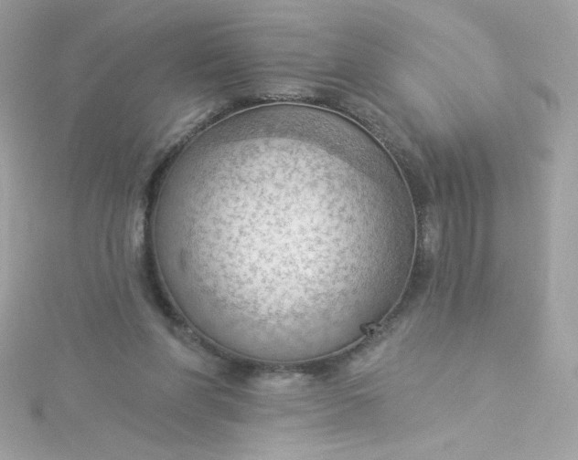 X0000115850206200911271248