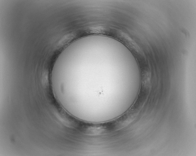 X0000115850213200911271248