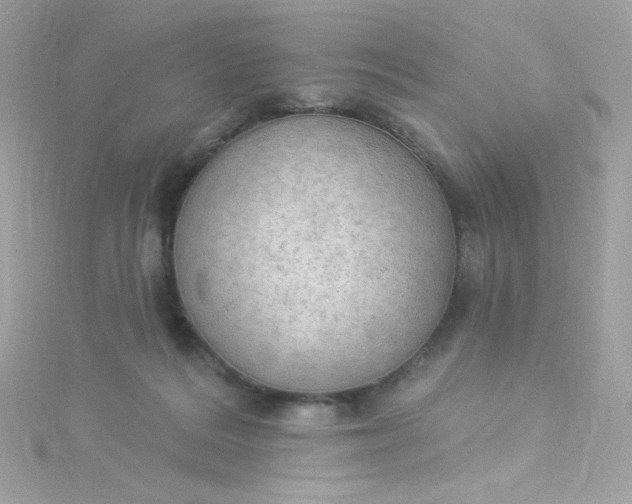 X0000115850220200911271248