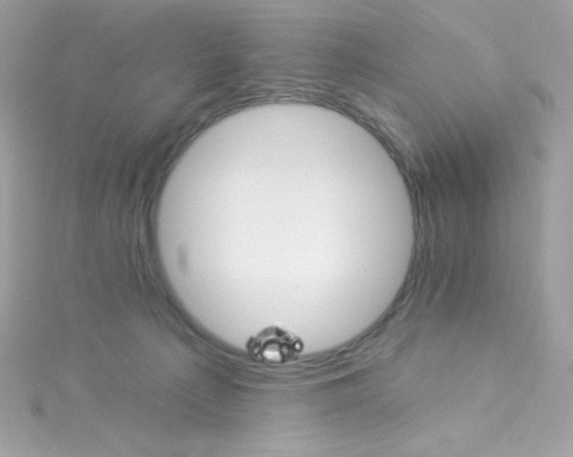 X0000115850225200911271248