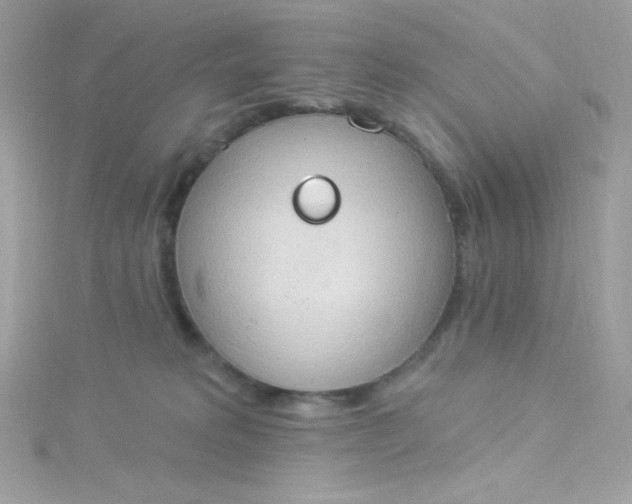X0000115850229200911271248