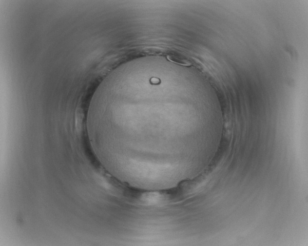 X0000115850231200911271248
