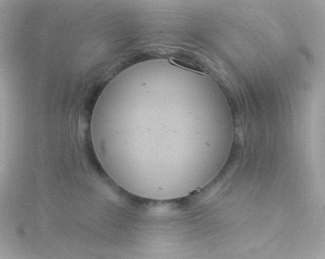X0000115850235200911271248