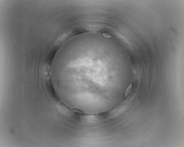 X0000115850237200911271248