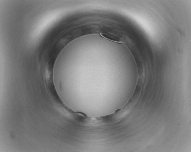 X0000115850239200911271248