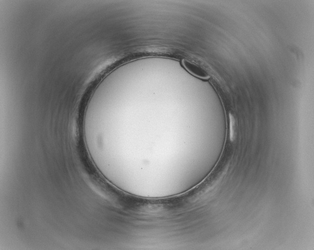 X0000115850252200911271248