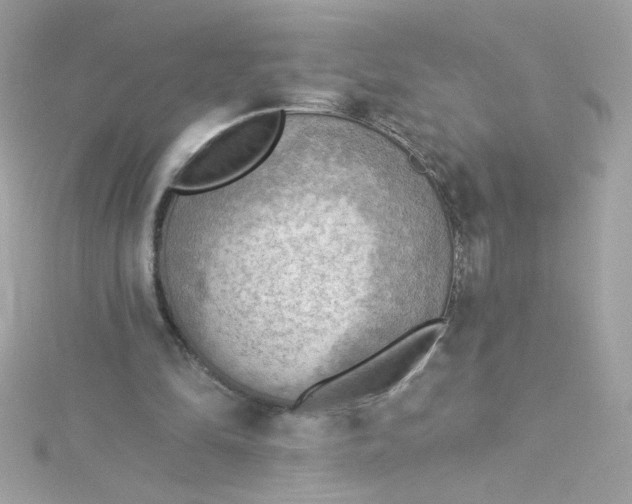 X0000115850294200911271247