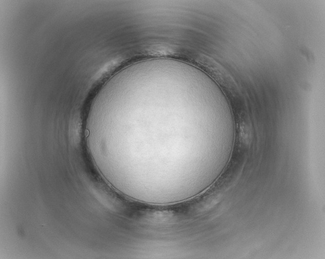 X0000115850304200911271247