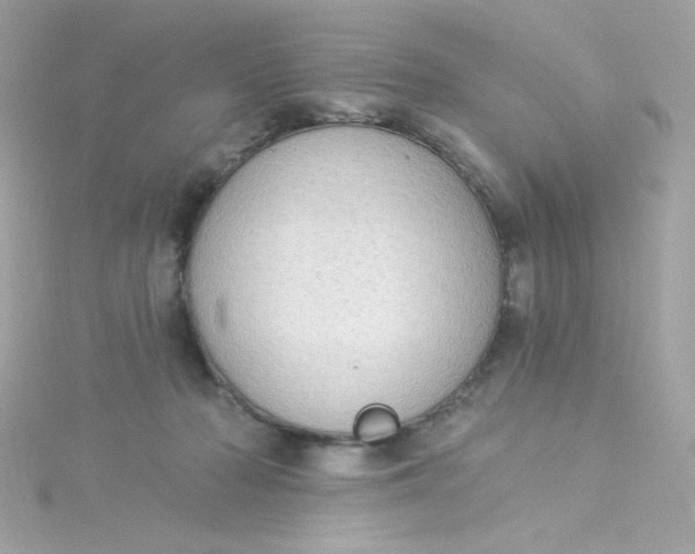 X0000115850318200911271247